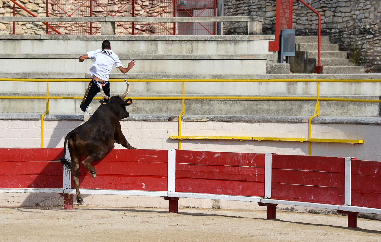 用他的神勇