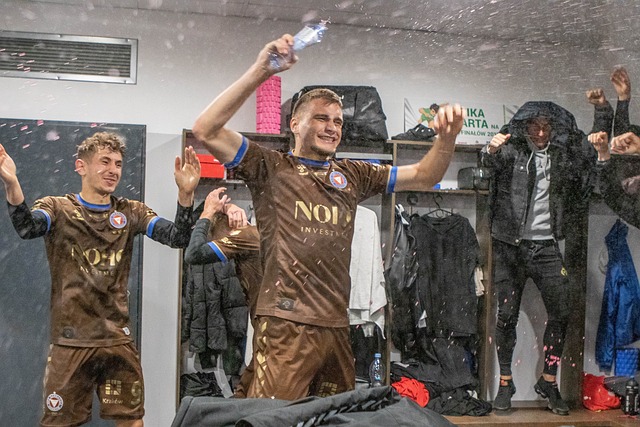 对情感归属 对情感归属