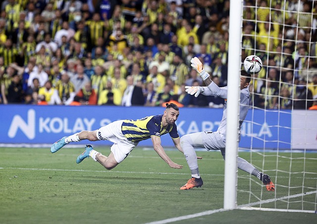 冉升起的新 冉升起的新