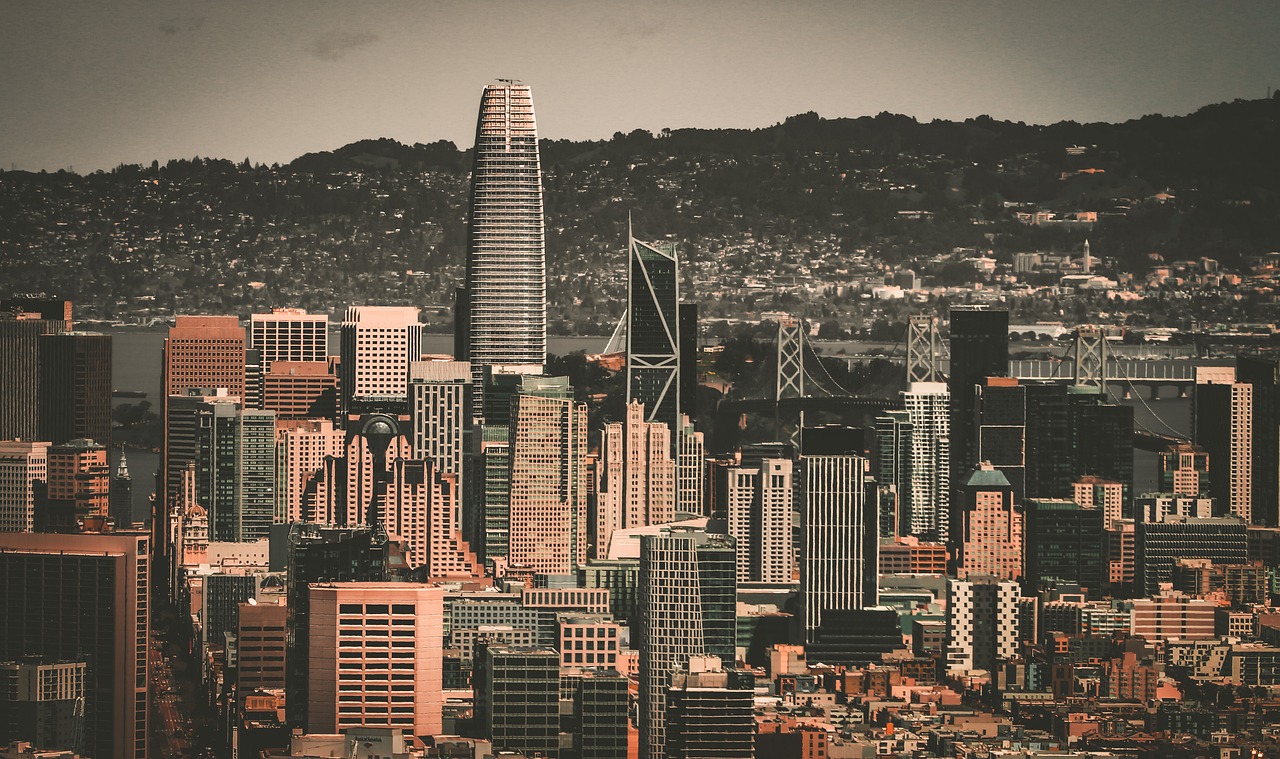 的职业经历 的职业经历