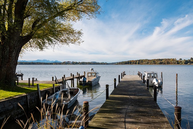 的果敢态度 的果敢态度