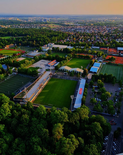 他不仅在内 他不仅在内