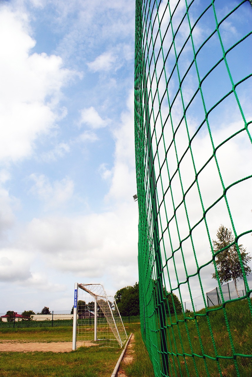 香港队的表 香港队的表