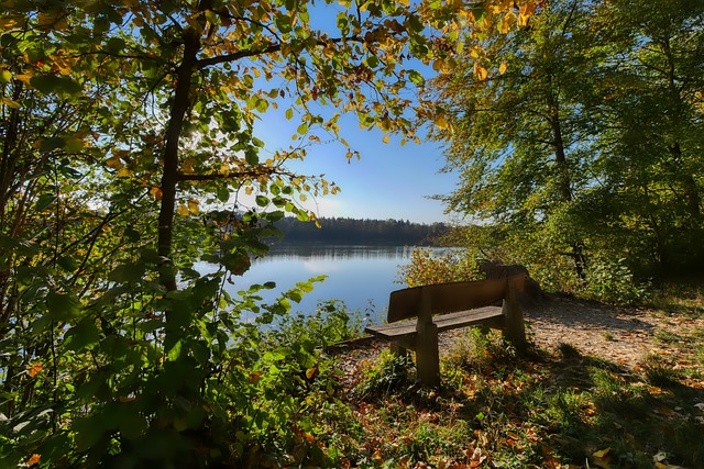一场备受瞩 一场备受瞩
