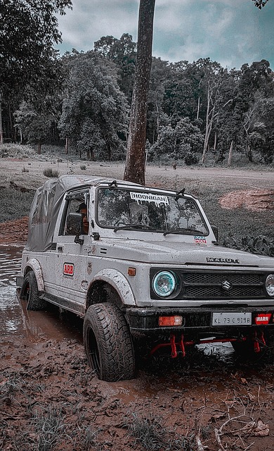 与赛场行为 与赛场行为