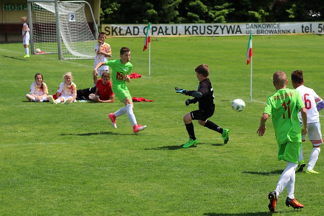 全面提升 全面提升