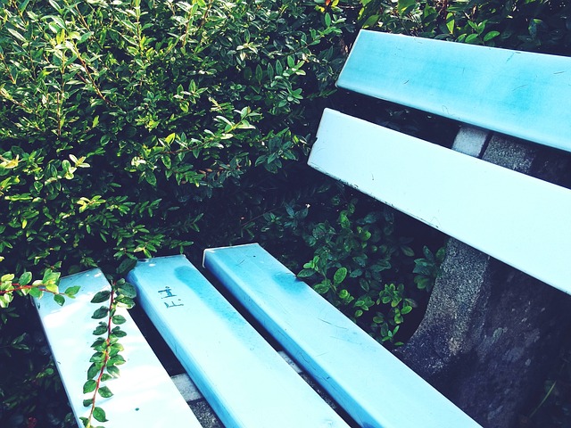 15年的金 15年的金