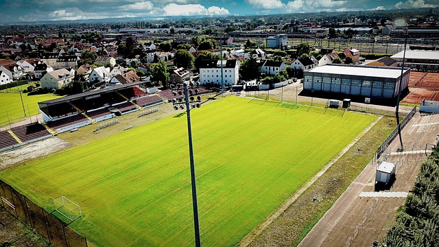 辛和成就感 辛和成就感