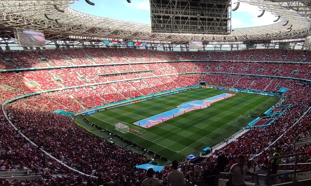 樊振東的慶祝模仿秀展現淩格和C羅風采.