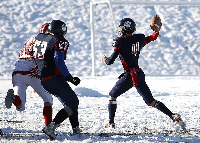 了可借鉴的 了可借鉴的