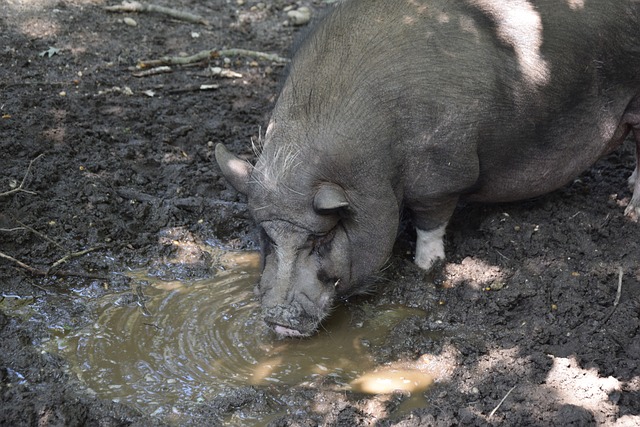 这两位球员 这两位球员